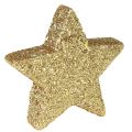 Floristik24 Scatter tähdet vaalea kultainen kiille 4-5cm 40kpl