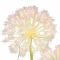 Floristik24 Tekokukat koristepallo kukka allium koriste sipuli keinotekoinen 78cm