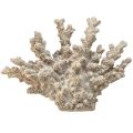 Floristik24 Yksityiskohtainen korallikoristelu polyresiinistä harmaa - 26 cm - merellistä eleganssia kotiisi